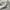 Outer  photo 5