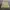 Outer  photo 1