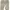 Fear of God photo 5