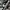 DUNK LOW PRO PANDA , DUNK LOW PRO BLACK WHITE , DUNK PANDA B photo 6