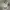 Vans ave pro Blanc Dr Blanc photo 2