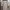 Cocolulu Summer Dress Merah Muda Off Shoulder Onesize photo 1