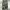 Uknown Cargo Pants Camouflage  photo 2