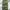 Uknown Cargo Pants Camouflage 