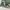 Uknown Cargo Pants Camouflage photo 8