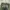 Uknown Cargo Pants Camouflage photo 9