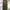 GT5 Cargo Pants Camouflage  photo 2