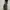 GT5 Cargo Pants Camouflage  photo 5