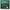 EVERBEST Echo Green photo 1
