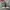 Adidas Seeulater Green Authentic photo 7
