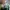 Adidas Seeulater Green Authentic photo 9