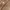 Claryn Odey Top Nude Beige Cargo Linen Blouse photo 9
