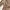 Claryn Odey Top Nude Beige Cargo Linen Blouse photo 10