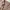 Claryn Odey Top Nude Beige Cargo Linen Blouse photo 5