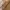 Claryn Odey Top Nude Beige Cargo Linen Blouse photo 8