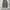 Musinsa standard wide nylon parachute pants dark gray photo 1