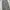 Musinsa standard wide nylon parachute pants dark gray photo 4