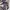 Skirt batsu club photo 7