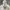 Polo Ralph Lauren Casual Sweatshirt Pria gray photo 2