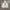 Polo Ralph Lauren Casual Sweatshirt Pria gray photo 1