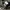 Avirex cargo us army vintage y2k photo 5