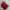Vivienne Westwood Kiss-lock Wallet photo 1