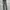 ݁ᛪ༙ Cecil mcbee skinny pants  ݁ᛪ༙ photo 4