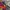 Isadora Milano Italy Beach Shorts Van Gogh Art Pattern photo 8