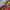 Isadora Milano Italy Beach Shorts Van Gogh Art Pattern photo 3