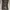 Timberland Maddsen Low Waterproof Hiking Boot photo 4