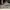 Timberland Maddsen Low Waterproof Hiking Boot photo 3