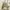Crewneck Sweater Oversize Crop Boxy photo 1