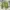 Crewneck Sweater Oversize Crop Boxy photo 2