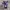 ROTHCO B.D.U CAMO CELANA CARGO PENDEK photo 2