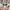 GUESS BOBBI BABY PINK & GRAY REVERSIBLE 2 TONE BUCKET BAG  photo 7