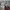 Hoodie nothing human boxy oversized photo 5