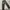 Ankle Pants HnM photo 4