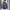 Jaket BERGHAUS photo 1