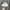 Nike Bucket Hat Creme photo 1
