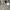 Cargo Skirt in Army photo 4