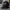 Topi trucker Jack Daniels Black "Jack" 07 Embroidered photo 8