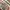 KAPITAL CANVAS SHORT AD APRON/SLINGBAG photo 6
