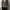 Leopard Knit Cardigan photo 2
