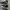 Converse Allstar Hi Black White photo 2