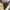 Converse Allstar Hi Black White photo 9
