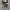 Converse Allstar Hi Black White photo 1