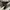Converse Allstar Hi Black White photo 9