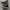 Converse Allstar Hi Black White photo 2