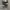 Converse Allstar Hi Black White photo 1