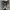 Converse Allstar Hi Black White photo 5